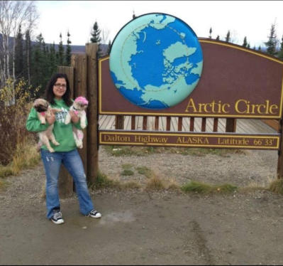 Arctic Circle alaska tour